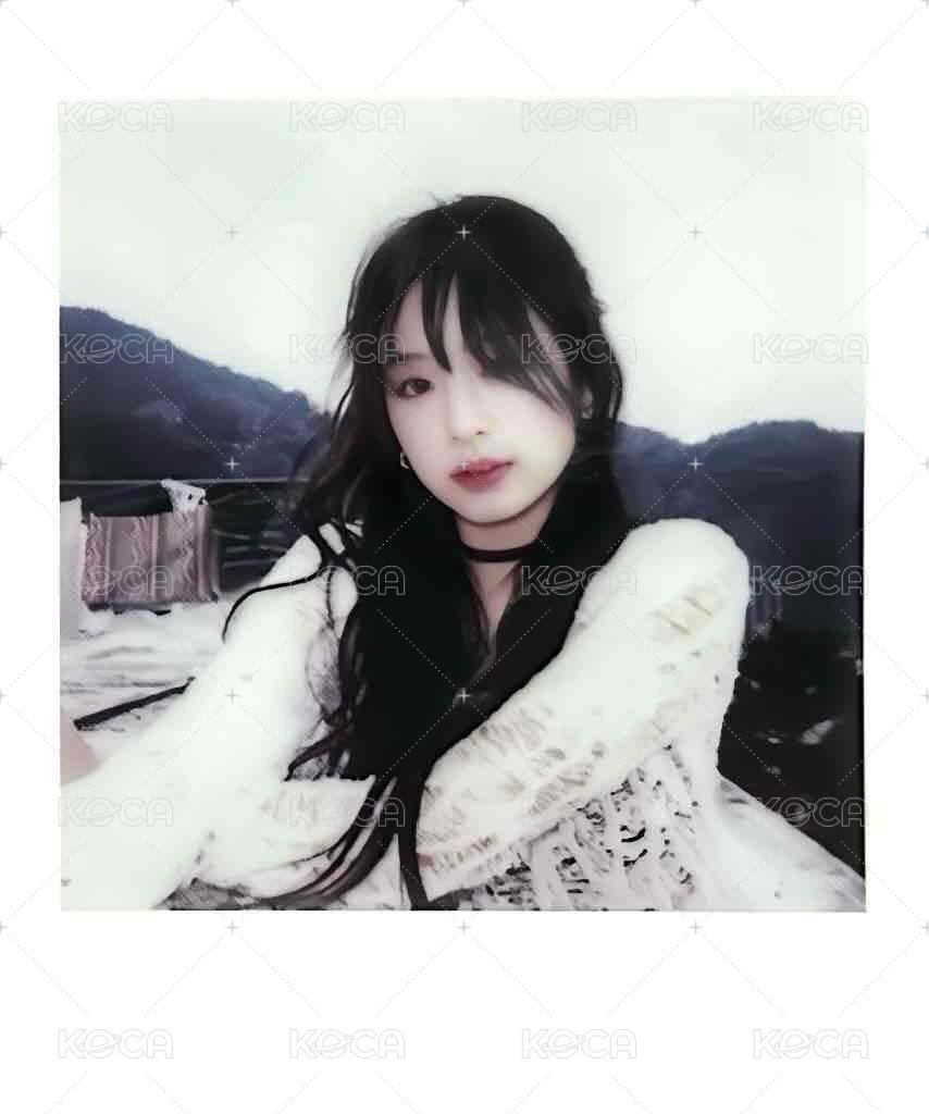 25’世巡 wvs 拼圖拍立得 周邊卡  正面