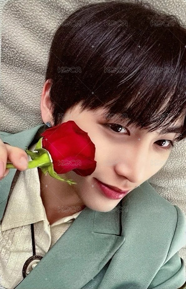 WHO! 楠藝 幸運卡 玫瑰山 正面