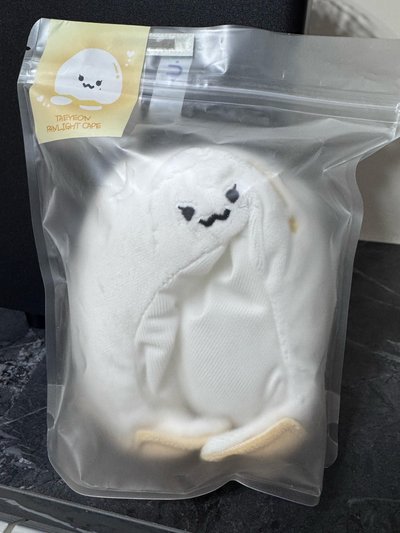 泰妍 25‘世巡 蛋頭手燈套