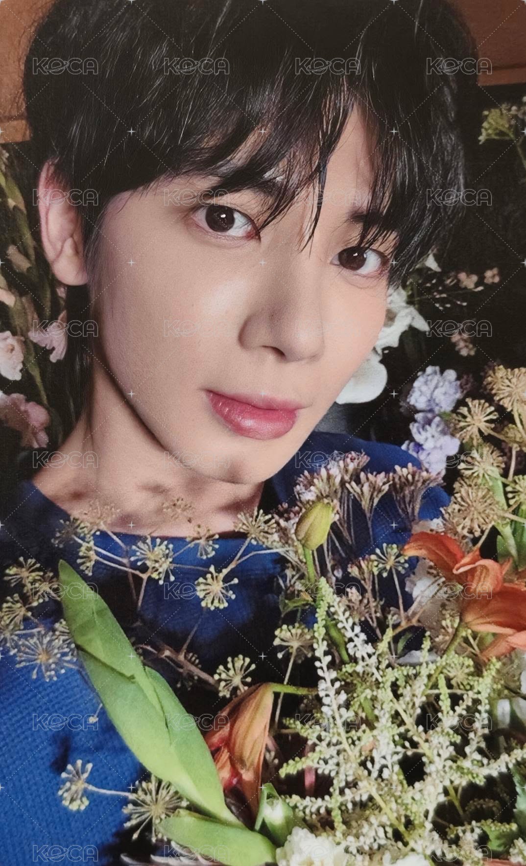 迷七 數星星 特典卡 單封顯 正面