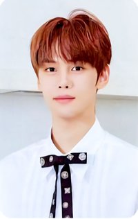 25'SG Plus Chat 年曆卡 