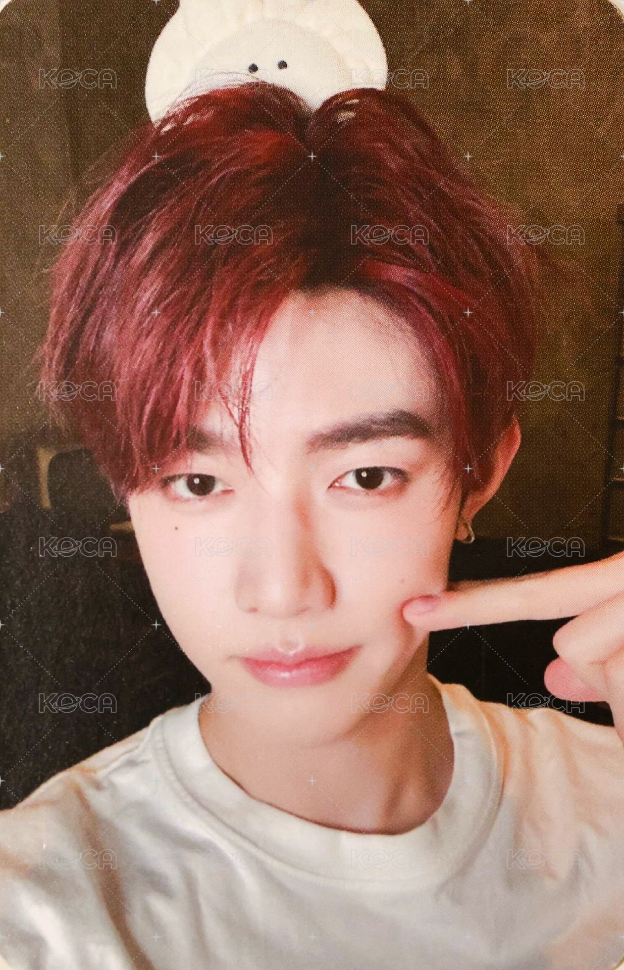 正規一 wm 幸運卡 餃子 ver. 正面