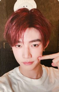 正規一 wm 幸運卡 餃子 ver.