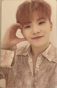 落花 專輯卡 CARAT ver