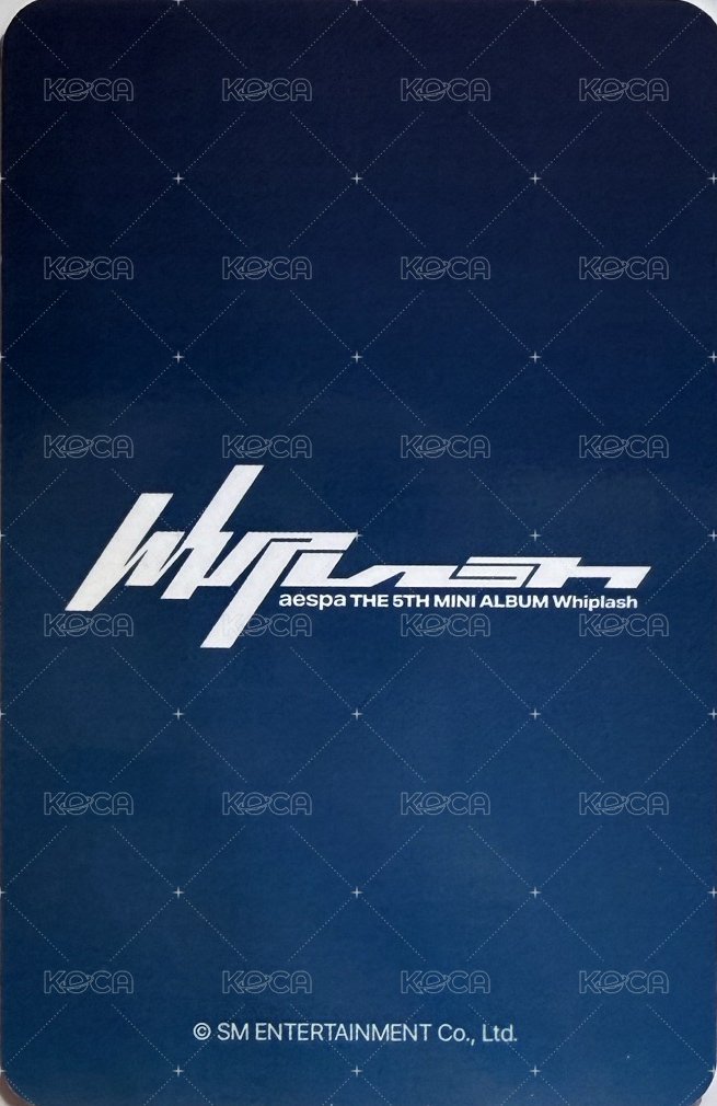 Whiplash dmm 幸運卡 寧 背面