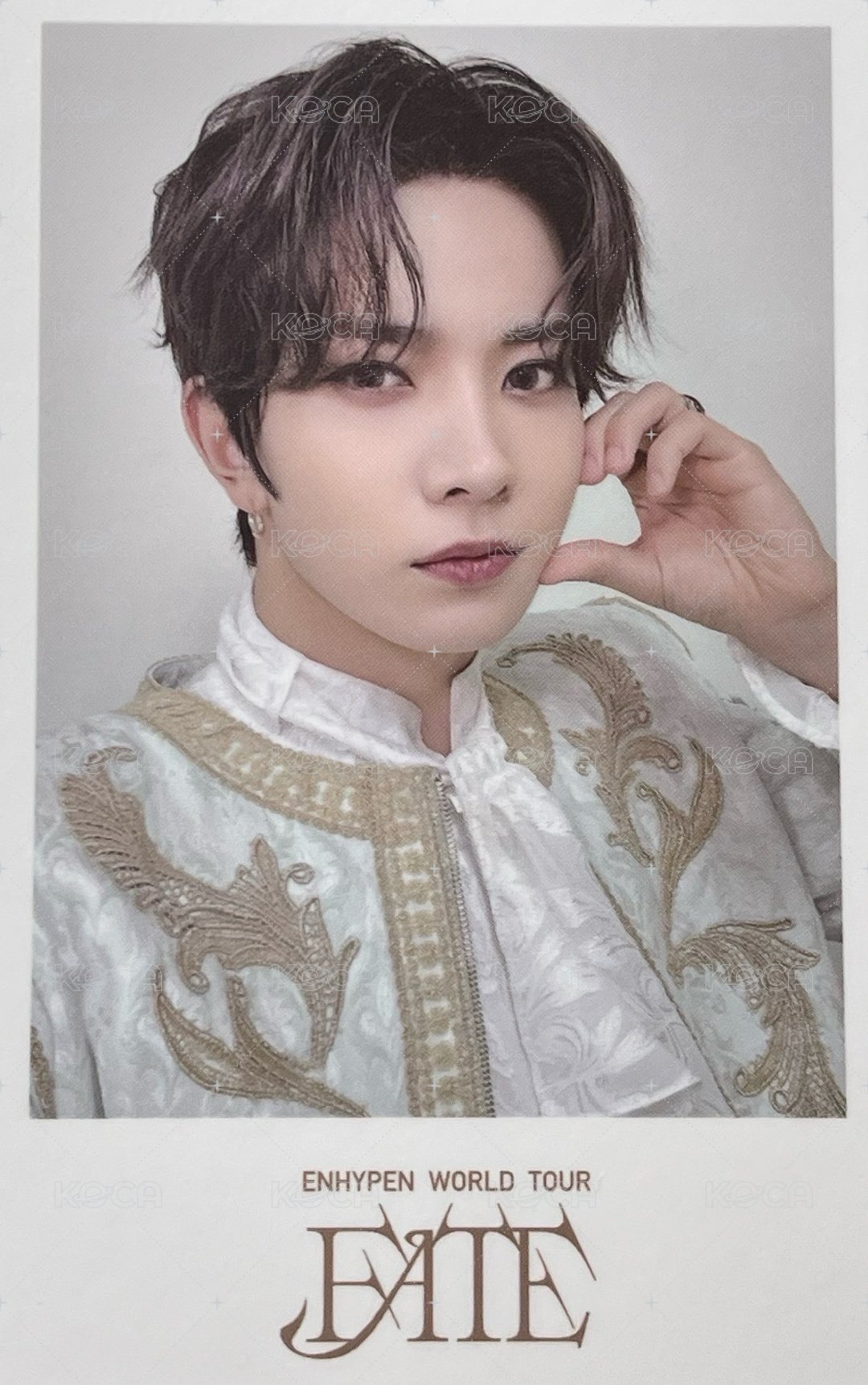 FATE世巡 wvs 演唱會 DVD / CD 卡  正面