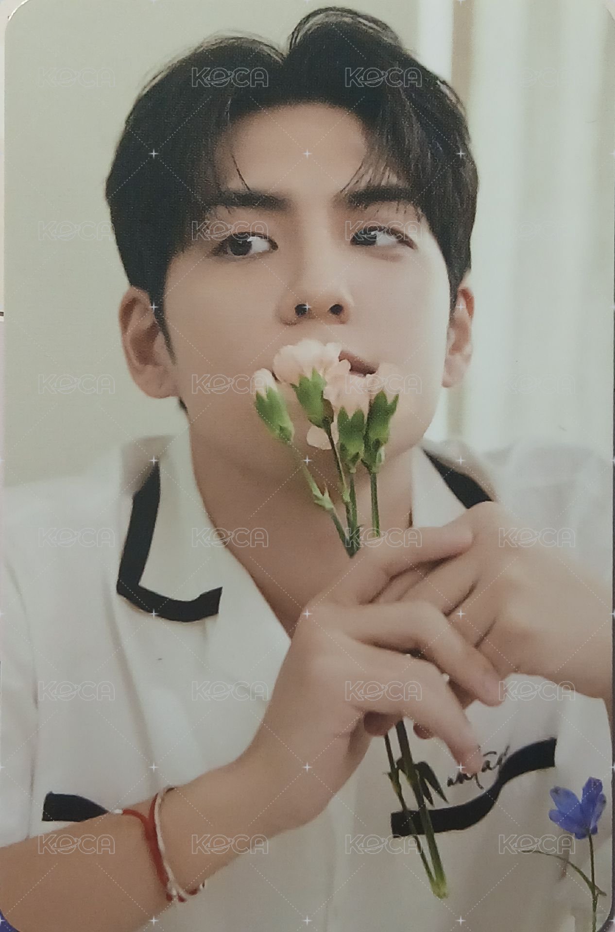 迷八 專輯卡 電子專卡 正面