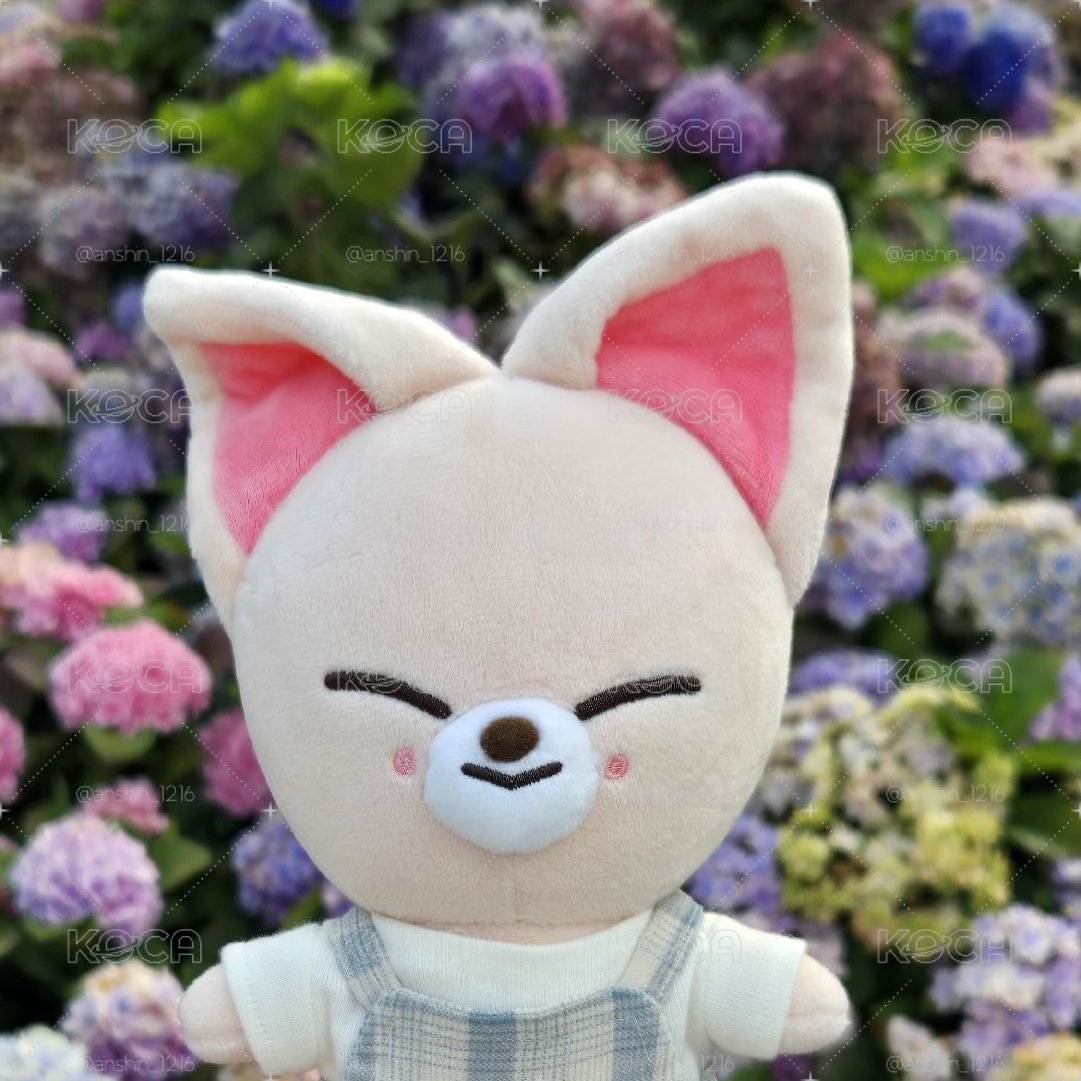 FoxI.Ny娃娃出清