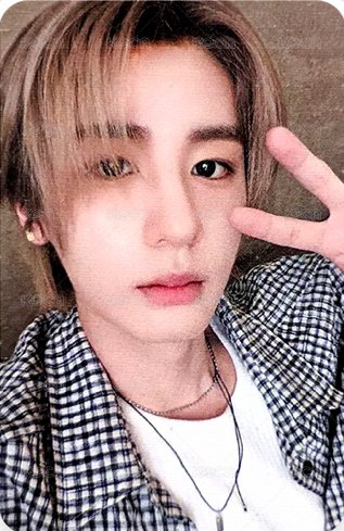 19.99 oy 特典卡 5 正面