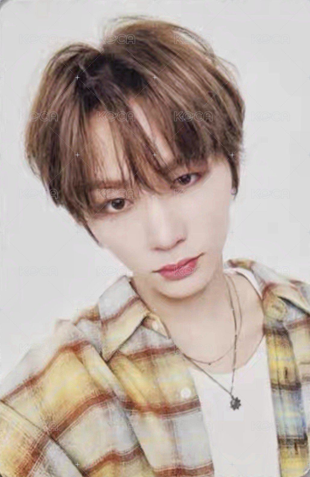 Knock On 巡迴 隨機卡 安可場 自拍 4 正面