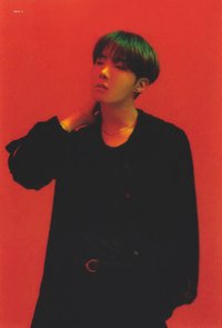 MOTS概念書 周邊卡 透卡 Clue版 固卡