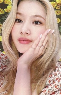 D’FESTA 迷你版 D社 周邊卡 