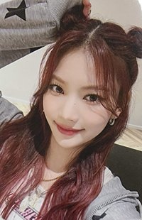 Teddy Bear k4 簽售卡 