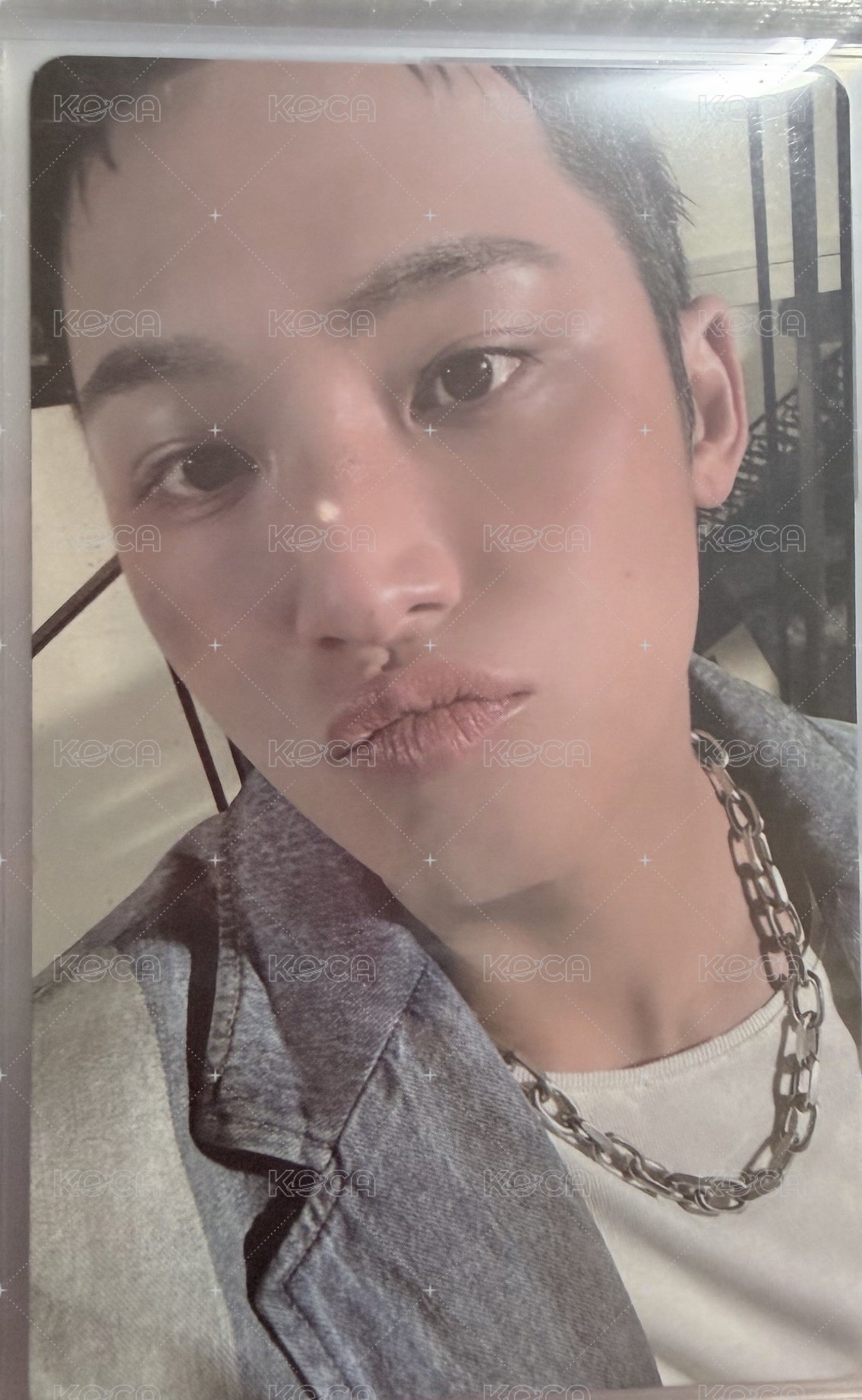 正五 wvs 專輯卡  正面