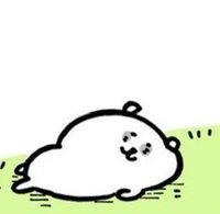 地板