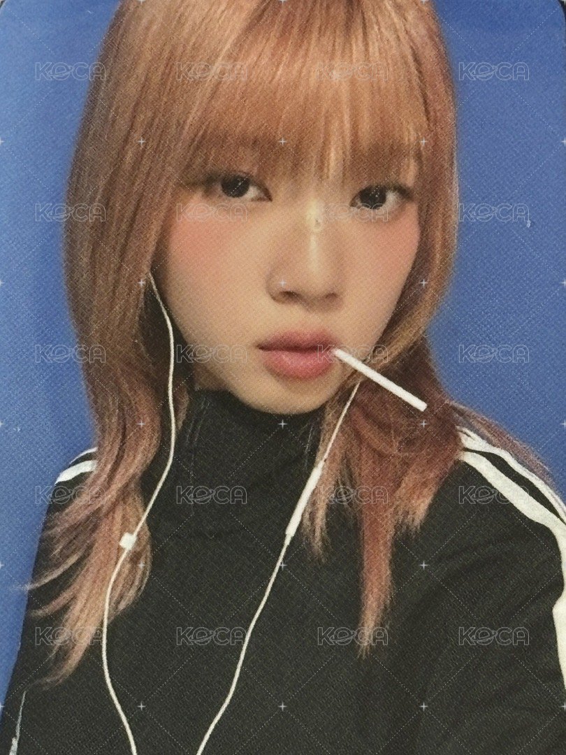 CURIOUS ms 特典卡  正面