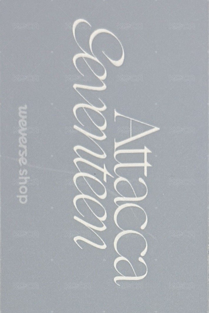 MINI9 wvs PB ver 特典卡  背面