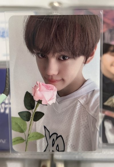 ZB1金奎彬 泡泡糖 七夕玫瑰 檸檬