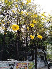 偉