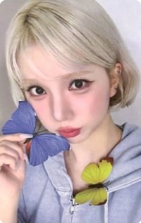 正一 ms 1.0線上 蝴蝶 簽售卡 