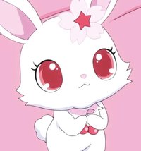 🐰
