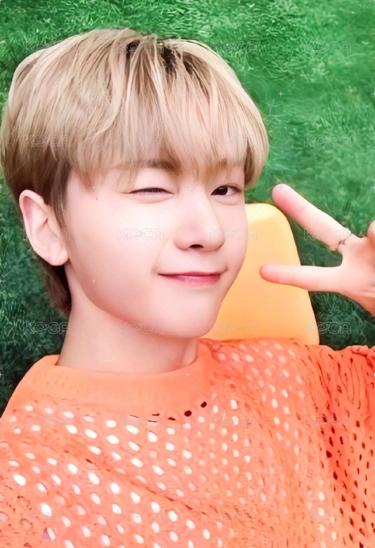 芭蘭歌林 代言卡 2.0 正面