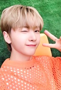 芭蘭歌林 代言卡 2.0