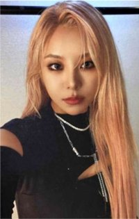 入場卡 / 場限卡 