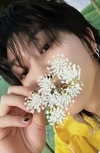 MINI11 專輯卡 ｜CARAT ver.