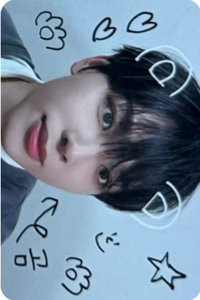 迷二 ms 個簽1.0 簽售卡 寵物鏡頭ver.