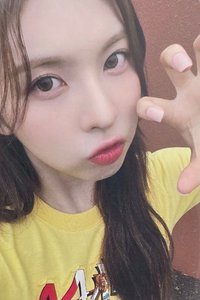 仲夏夜 入場卡 / 場限卡 SC入場卡