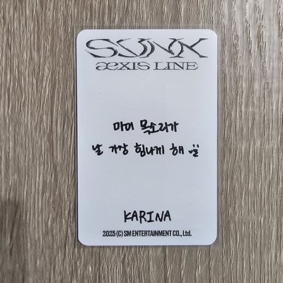 aespa SYNK aeXIS LINE 首爾 演唱會 Karina 衣服小卡