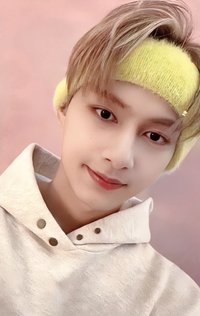 POL 專輯卡 CARAT ver.