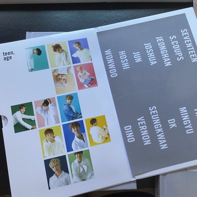 SVT 正二白版空專✨