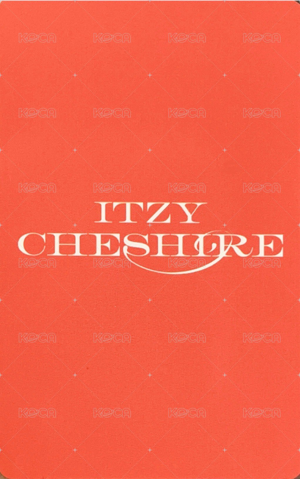 CHESHIRE mp 預售 特典卡  背面