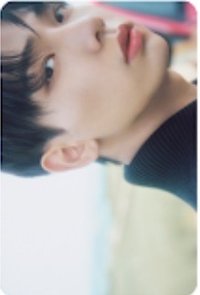 WHY.. sponge 預售 特典卡 官拍