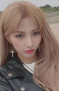 DUMDi DUMDi k4 特典卡 