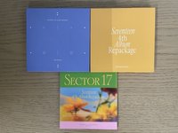 Sector 17