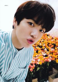 LY Tour 日巡 周邊卡 護照套卡