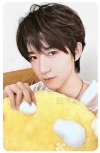 抱枕 周邊卡 賀峻霖 抱枕卡