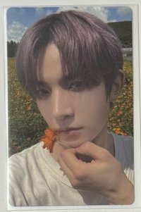 迷五 專輯卡 電子專專卡