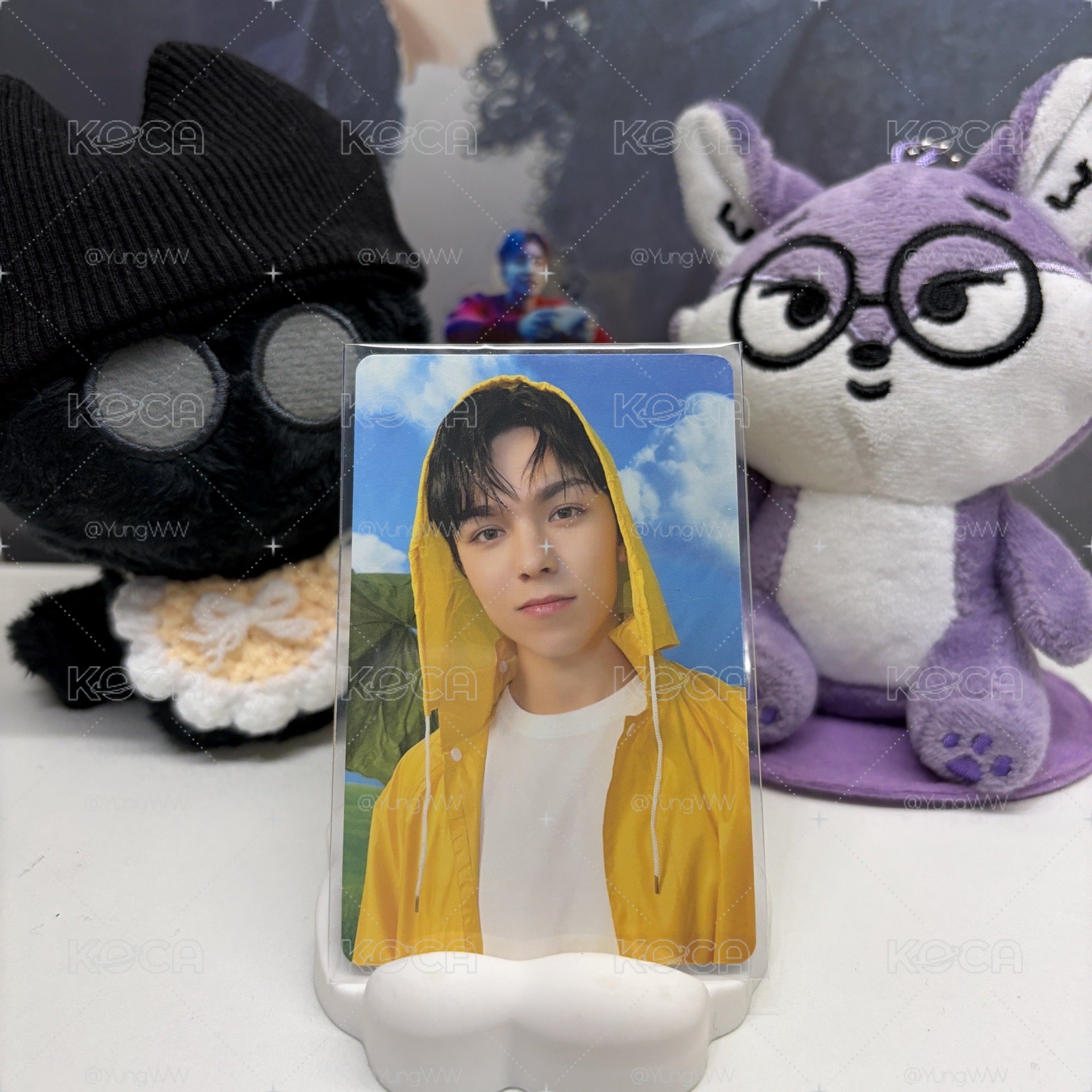 🐻‍❄️瀚率VERNON｜MINI11｜專輯卡 ｜CARAT ver.｜雨衣率