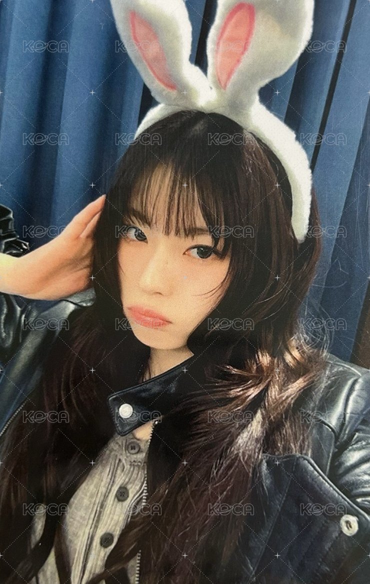 STICK OUT 數星星 抽選卡 中簽兔子圭 正面