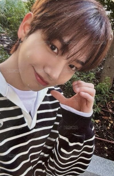 明 回憶錄set 小卡+拍立得+明信片