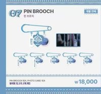 正規一快閃 別針襟章 胸針