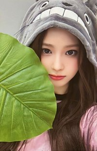 仲夏夜 el 線下 1.0 簽售卡 龍貓