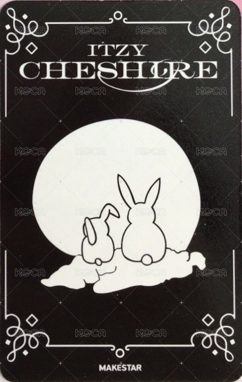 CHESHIRE ms 2.0 幸運卡  背面