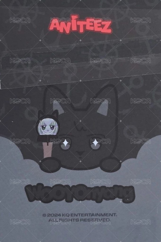 ANITEEZ IN ILLUSION 周邊卡 LIGHT STICK COVER 背面