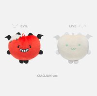 WayV 二巡演唱會 娃娃玩偶 