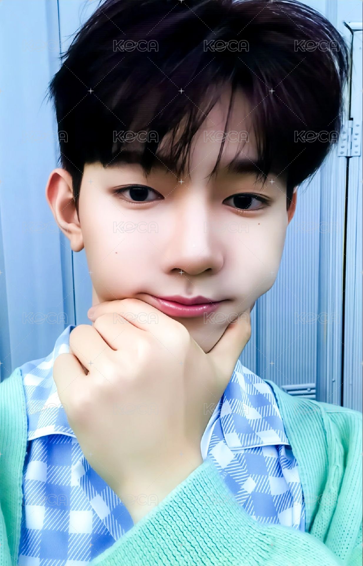 迷二 wm 特典卡 臉頰軟嫩 ver. 正面